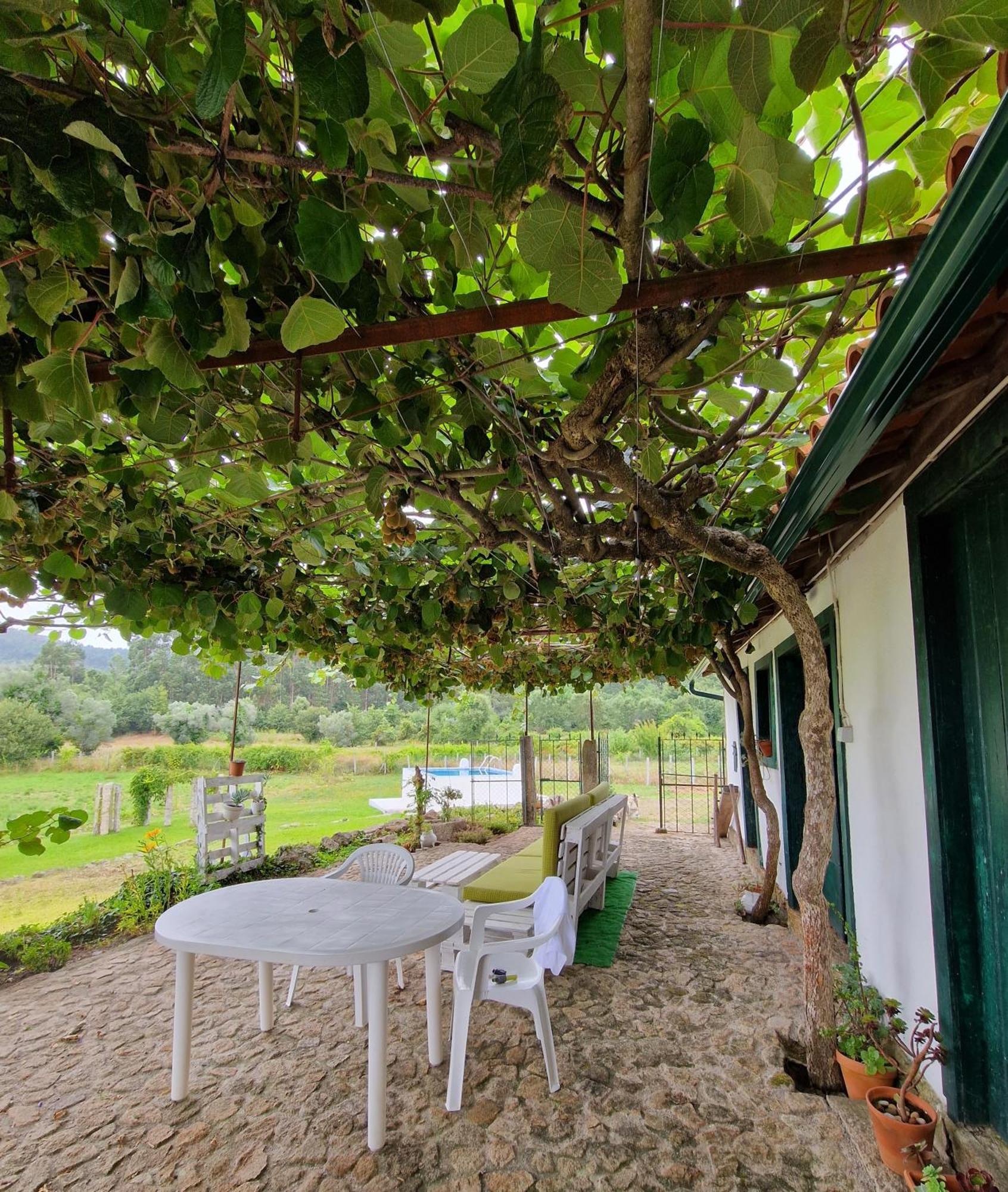 Villa Casa Do Pinheiro Manso à Valenca Extérieur photo